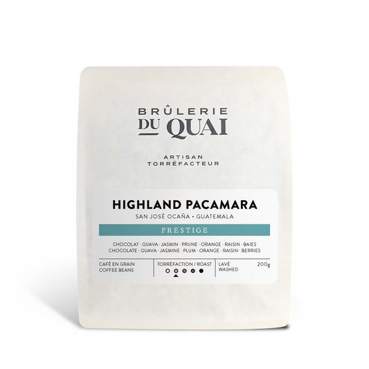 Café Guatemala - Highland Pacamara